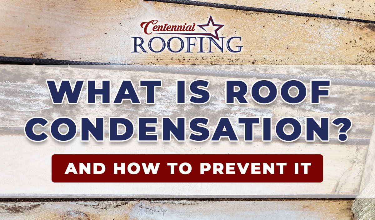 Roof condensation in your Bay County, Florida home or business and how to prevent it with Centennial Roofing in Panama City