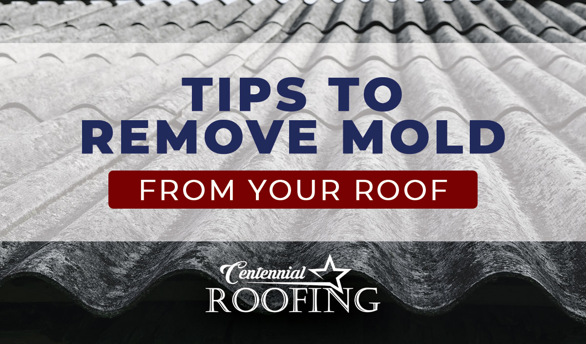 Tips to remove mold from your roof