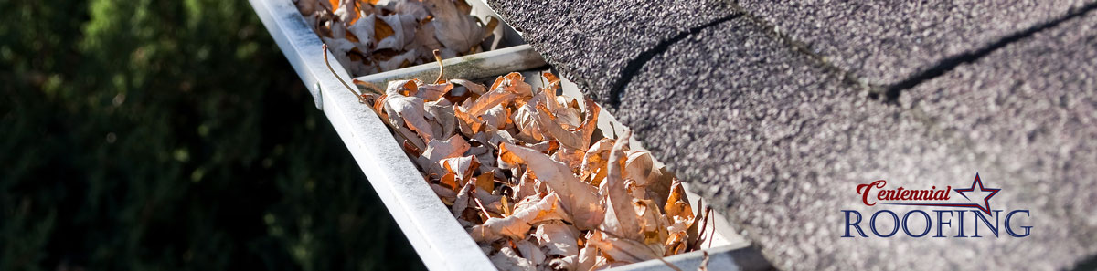 Fall Roof Maintenance - Clean the Gutters